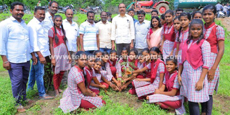 స్వచ్ఛదనం– పచ్చదనం.