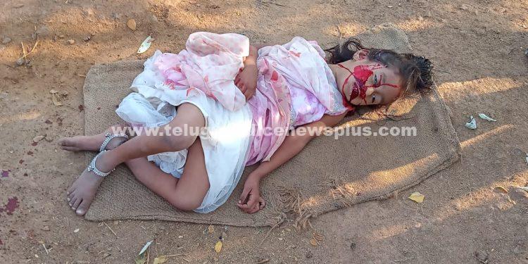 స్కూల్ ఆటోడోర్ ఉడిపోవడంతో కిందపడి మరణించిన చిన్నారి..!