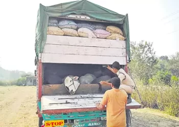 అక్రమ పశువుల రవాణాను అరికట్టడానికి ఖమ్మం పోలీసులు ఏడు చెక్‌పోస్టులను ఏర్పాటు చేశారు