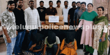 అంతర్రాష్ట్ర గంజాయి రవాణా ముఠా గుట్టురట్టు