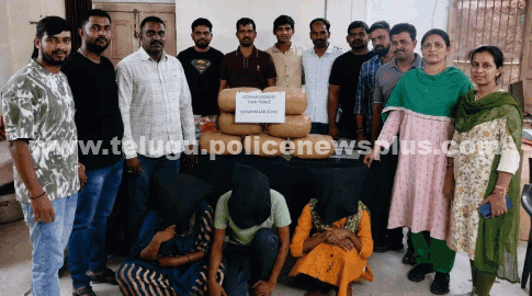 అంతర్రాష్ట్ర గంజాయి రవాణా ముఠా గుట్టురట్టు